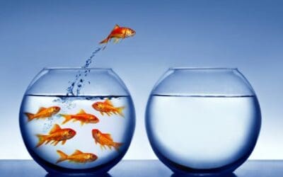 Entrepreneurs: Planning Your Escape From Your Job